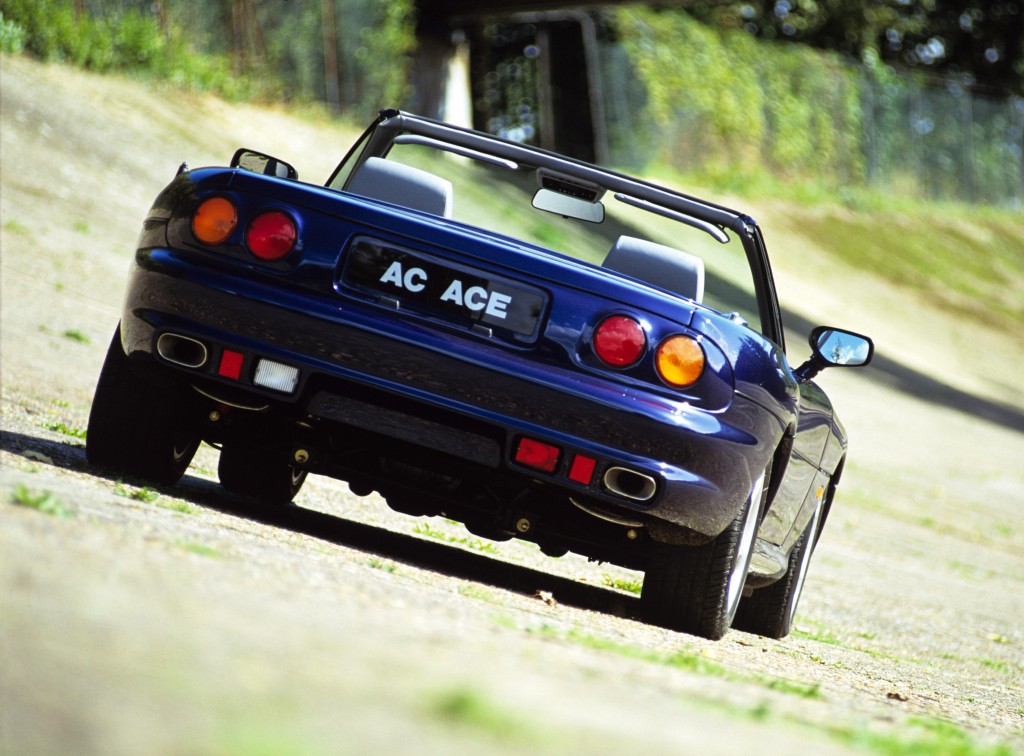 Ac Ace photo 4