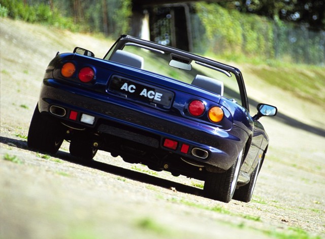 Ac Ace photo 4