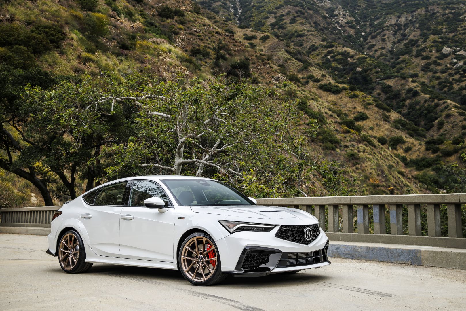 Acura Integra Sedan photo 39