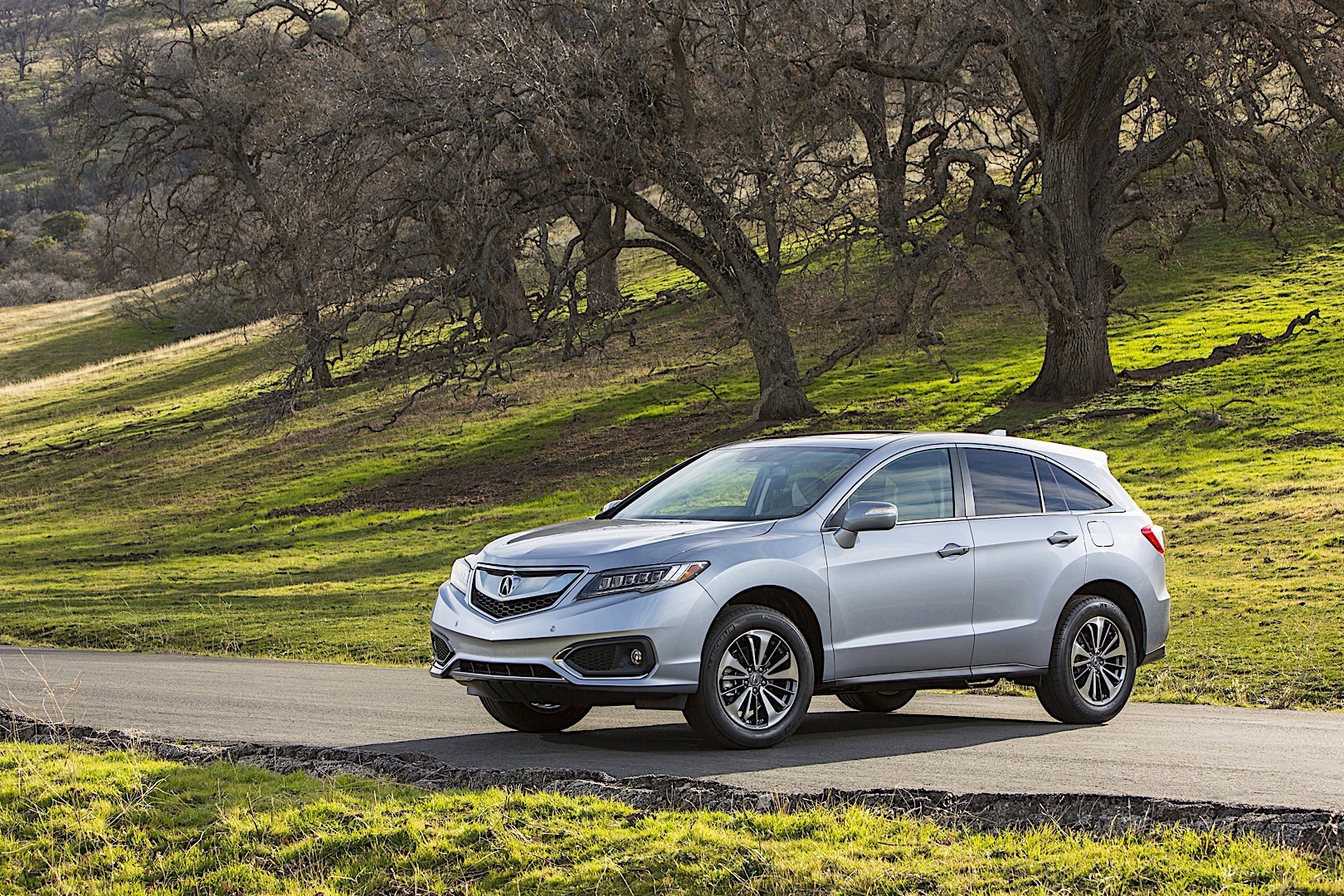 Acura Rdx photo 24