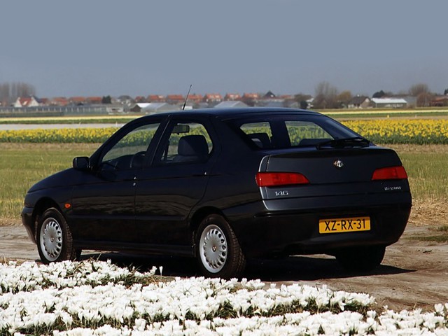 Alfa Romeo 146 photo 4