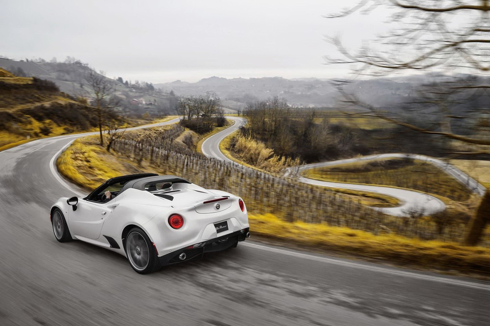 Alfa Romeo 4C Spider photo 13