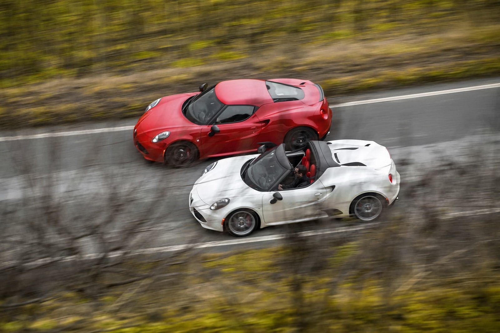 Alfa Romeo 4C Spider photo 24