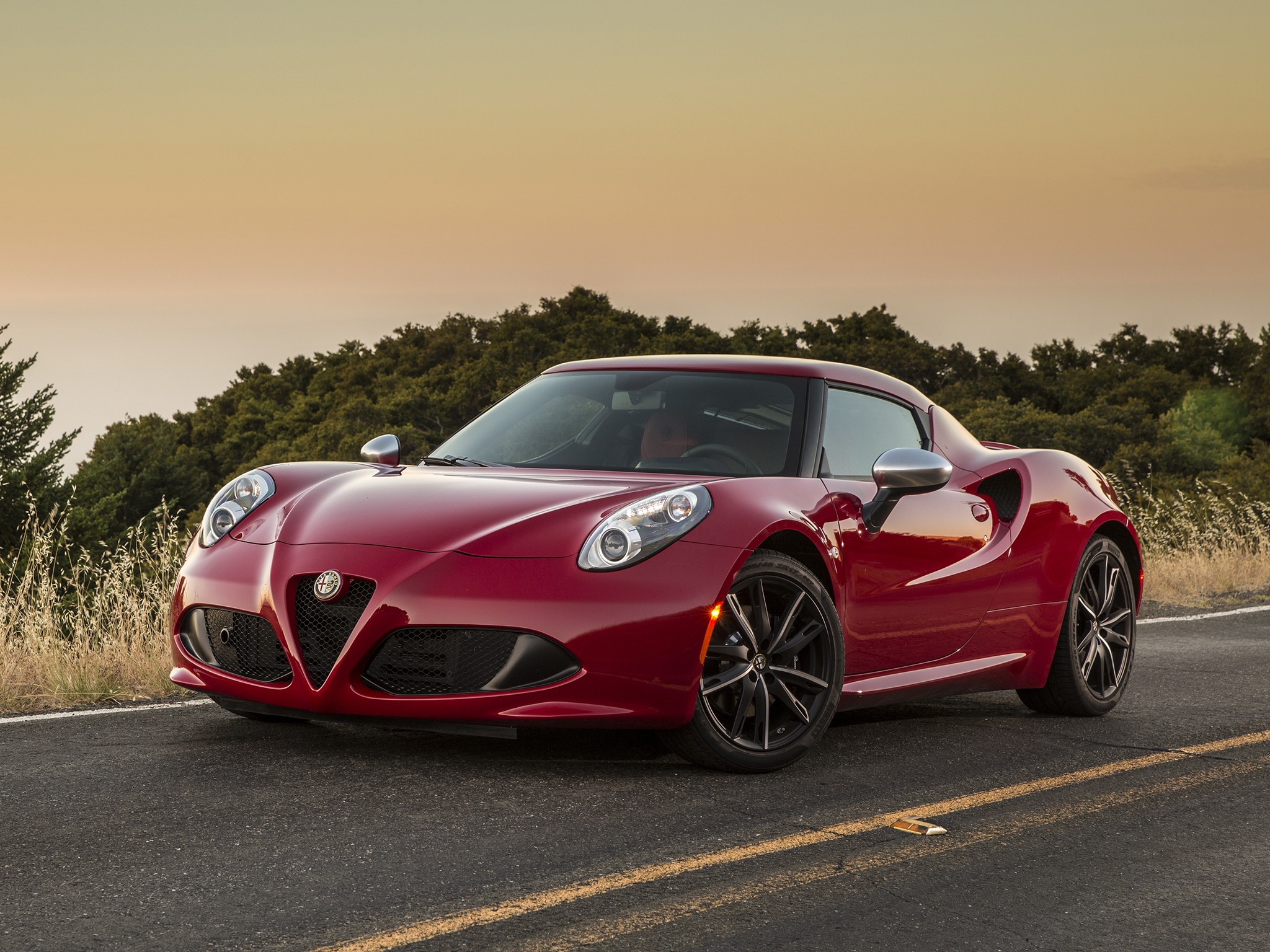 Alfa Romeo 4C photo 99