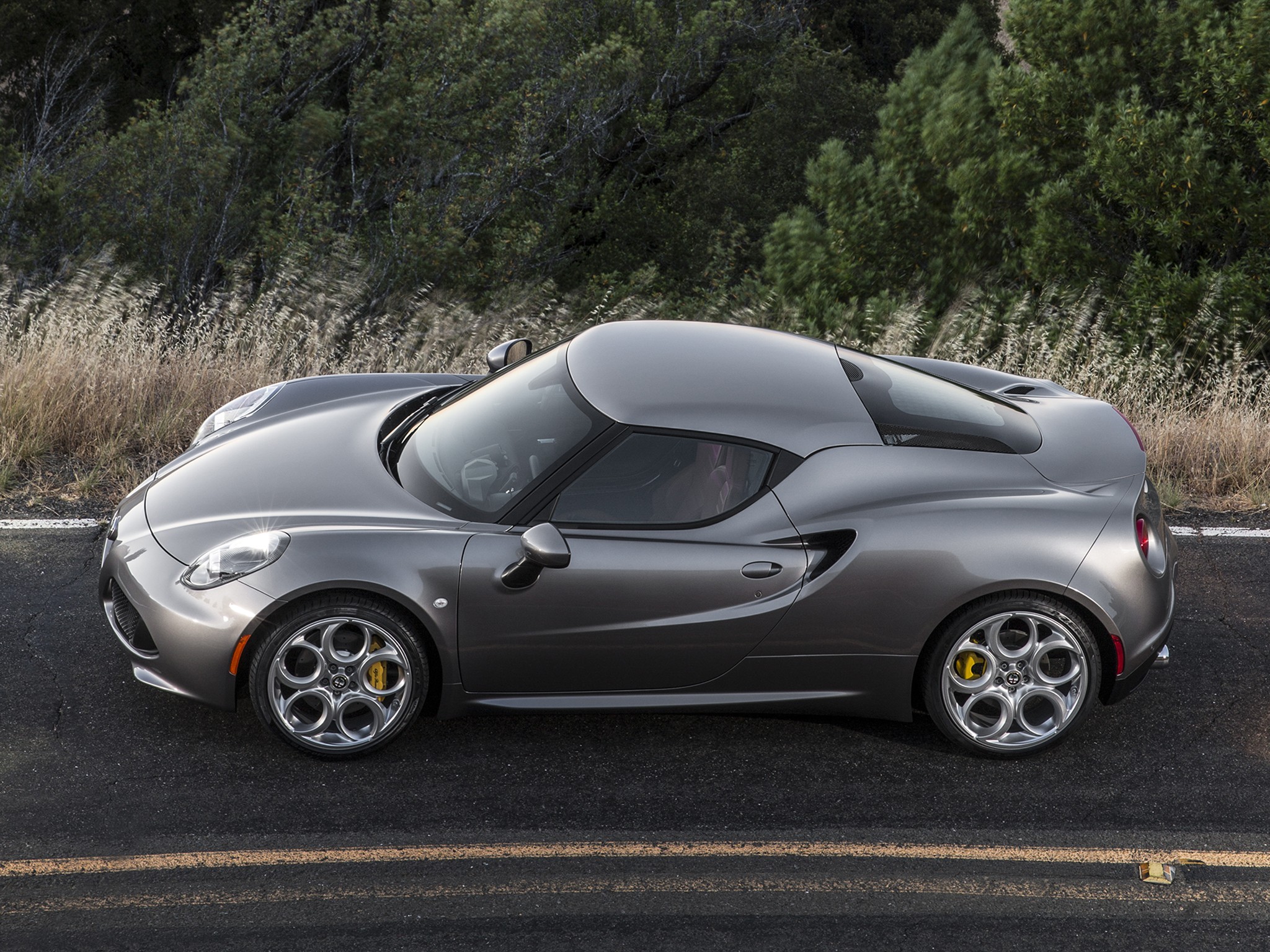 Alfa Romeo 4C photo 114
