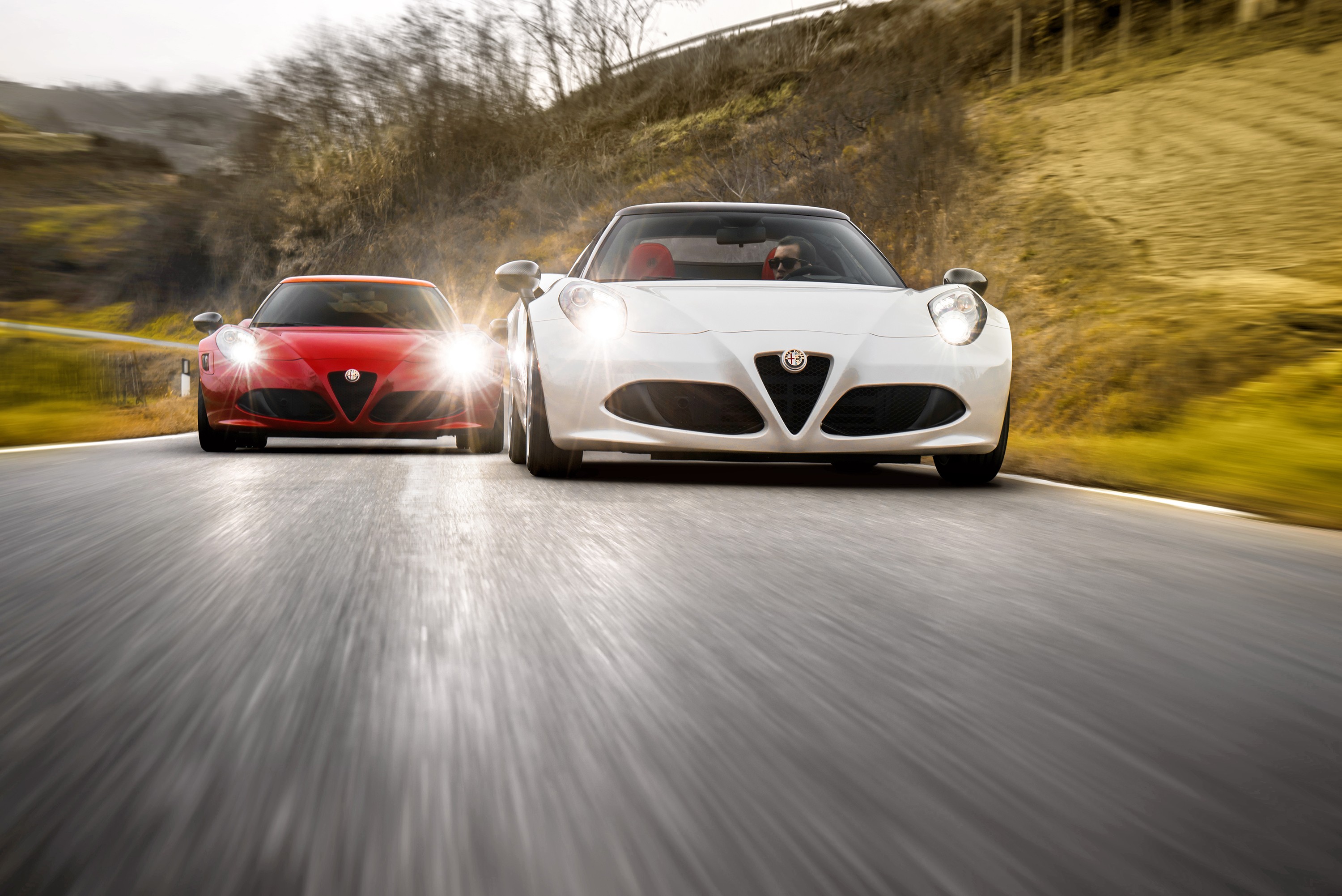 Alfa Romeo 4C photo 22