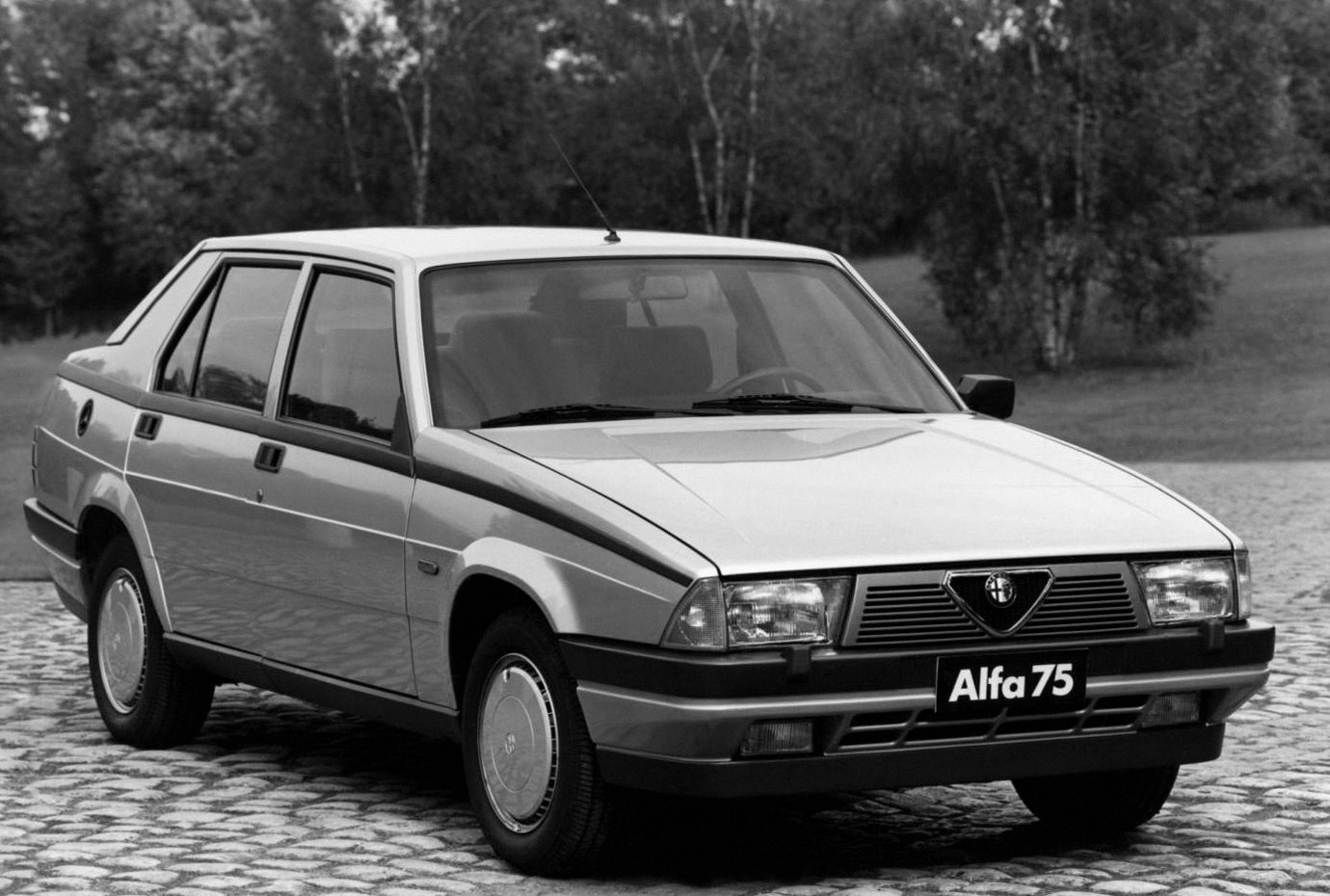 Alfa Romeo 75 photo 32