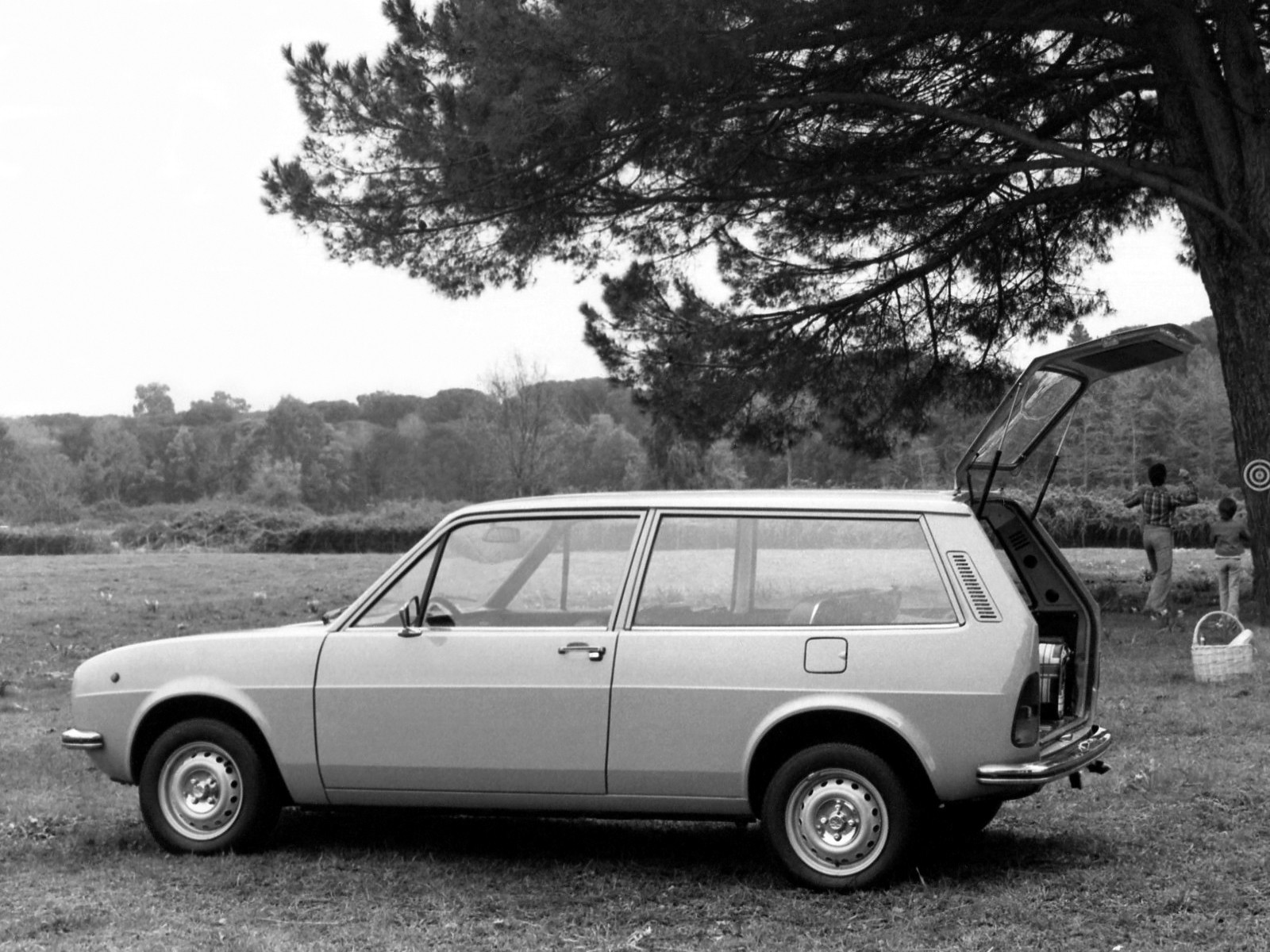 Alfa Romeo Alfasud Giardinetta photo 2