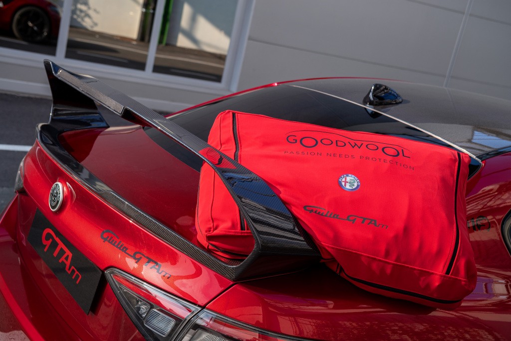 Alfa Romeo Giulia Gta photo 10