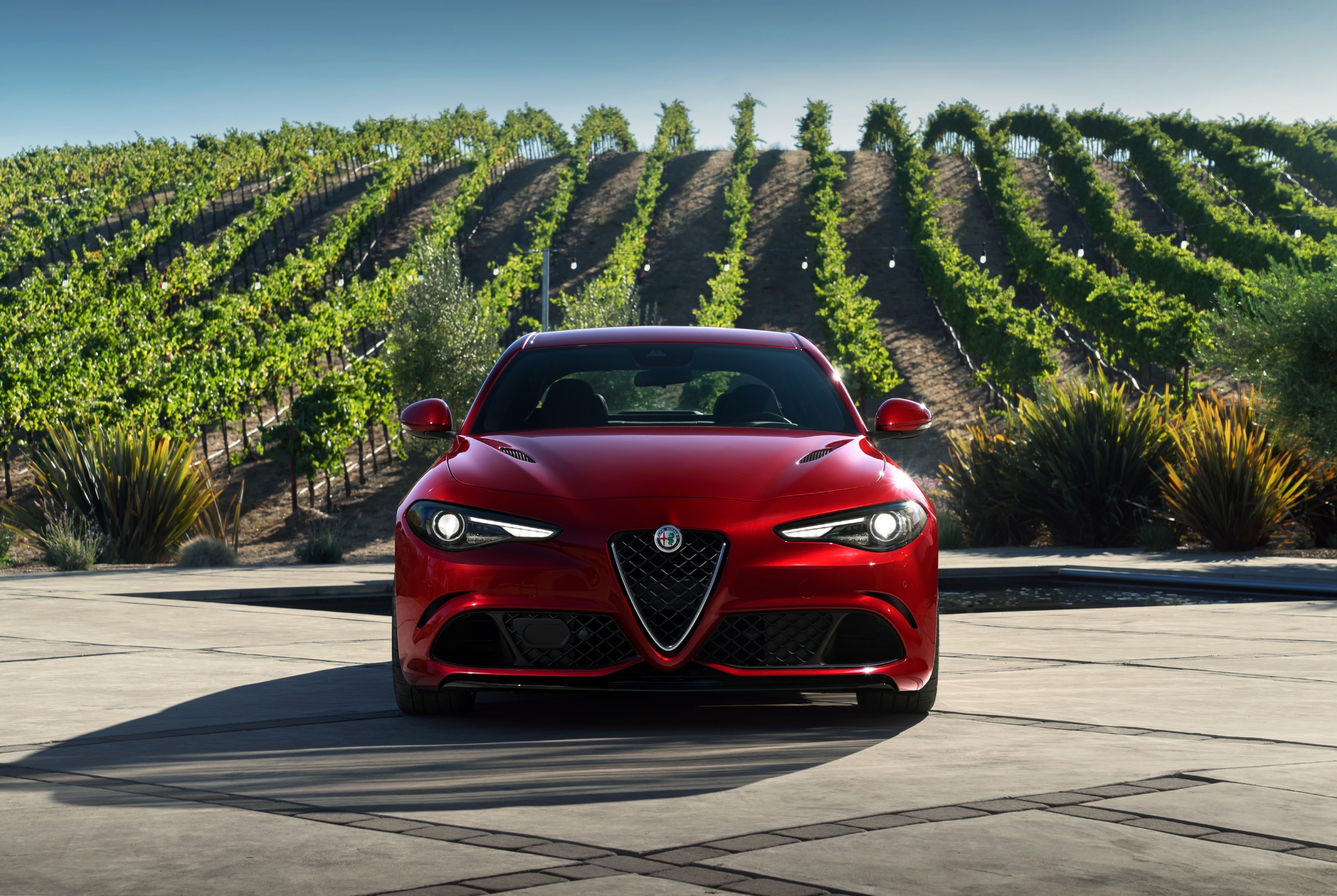 Alfa Romeo Giulia Quadrifoglio photo 15