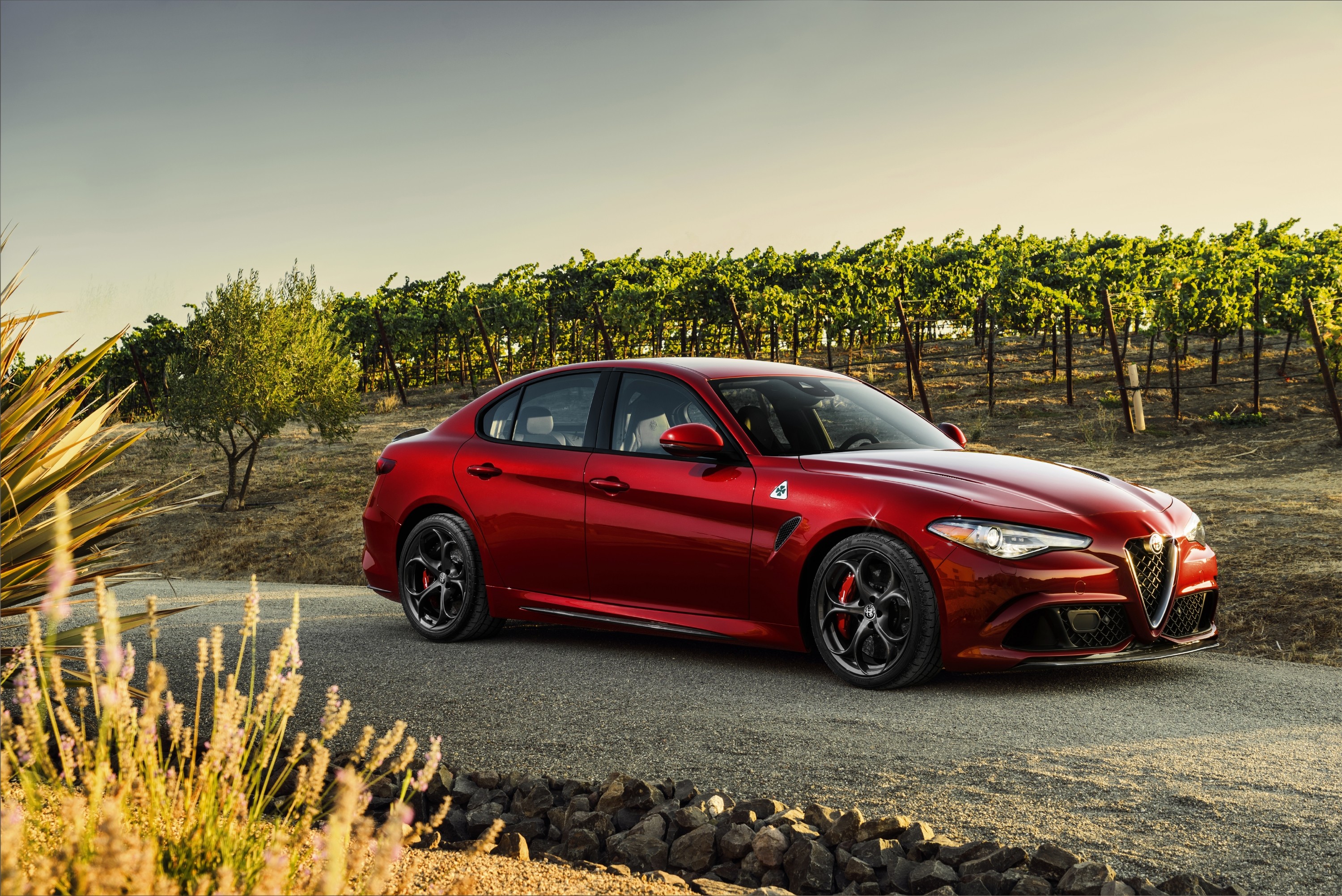 Alfa Romeo Giulia Quadrifoglio photo 16