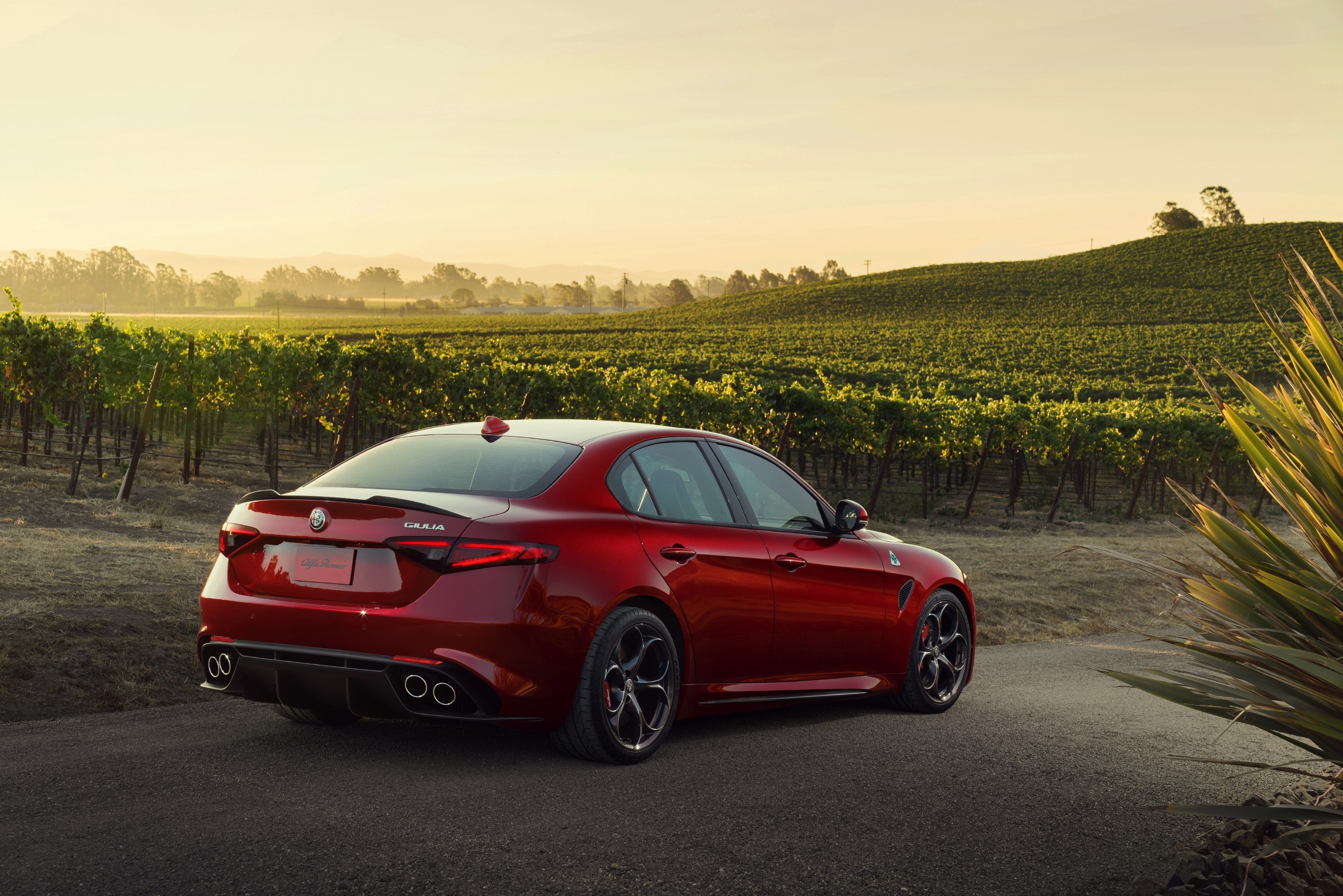 Alfa Romeo Giulia Quadrifoglio photo 18