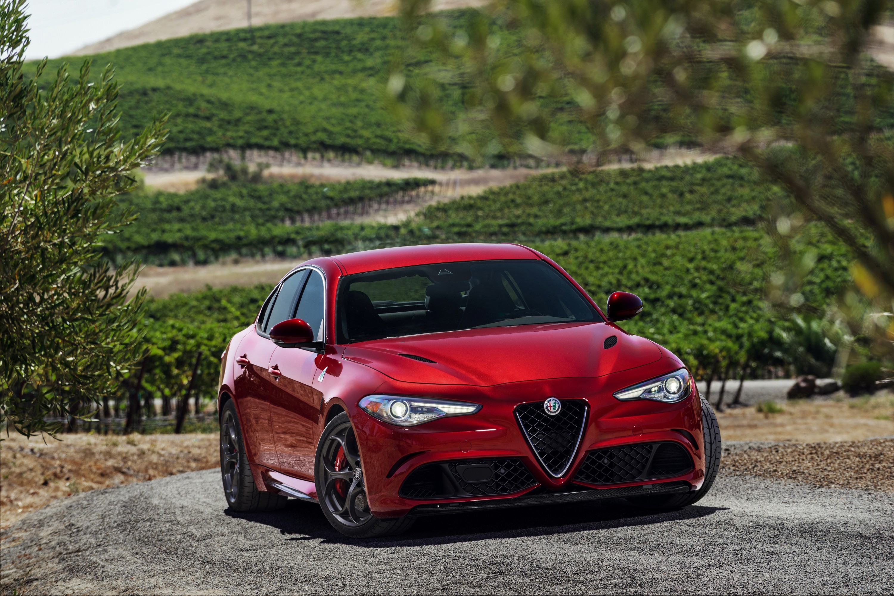 Alfa Romeo Giulia Quadrifoglio photo 22