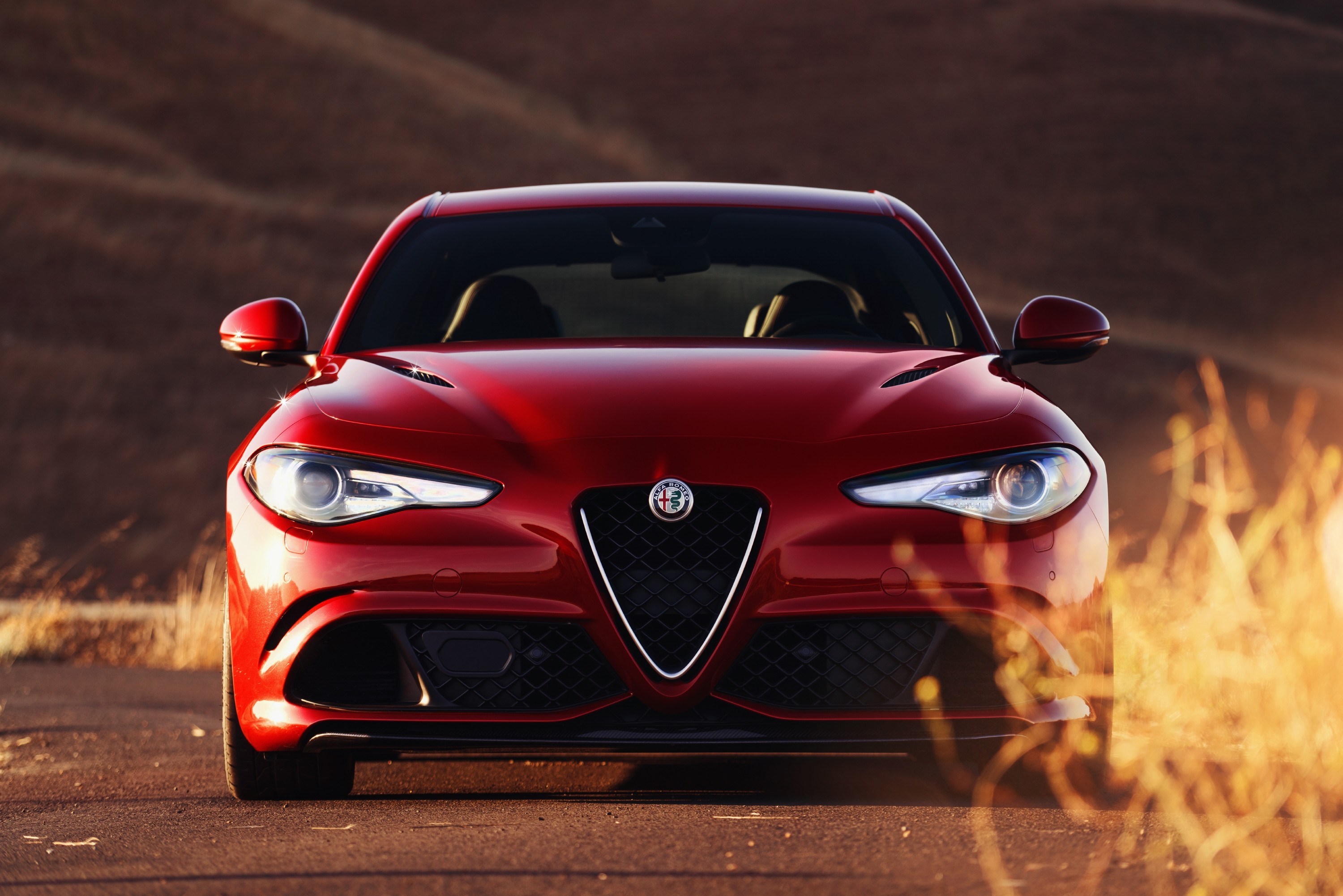 Alfa Romeo Giulia Quadrifoglio photo 25