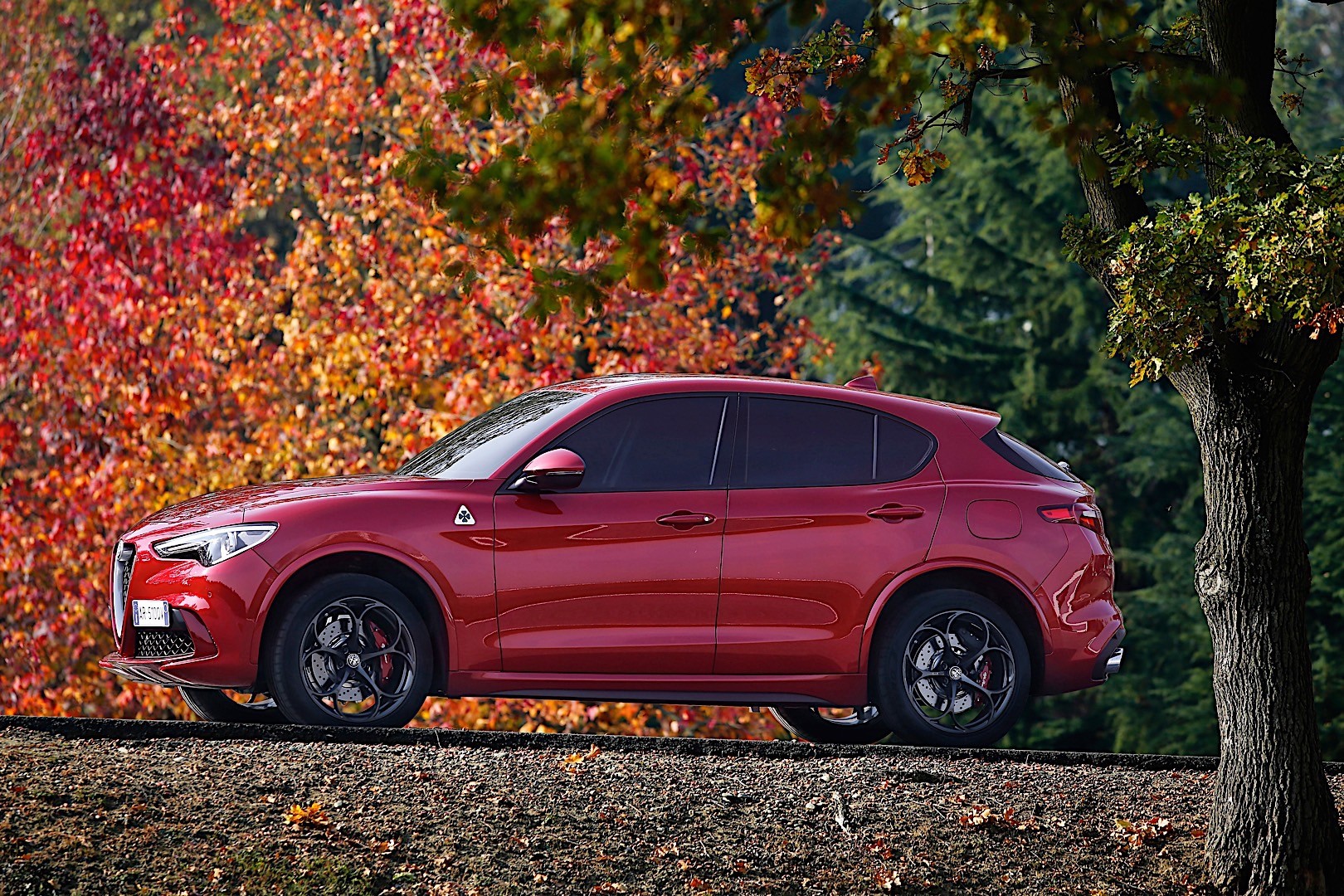 Alfa Romeo Stelvio Quadrifoglio photo 41