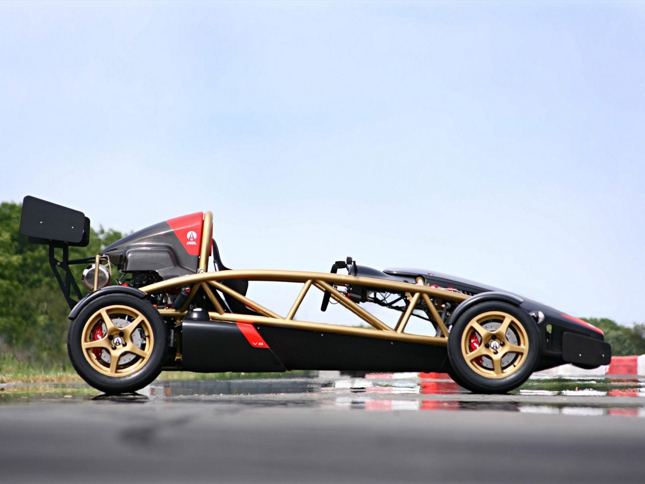 Ariel Atom photo 11