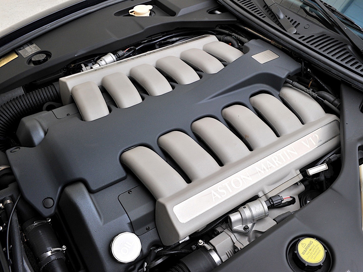 Aston Martin Db7 photo 22