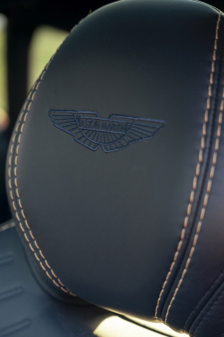 Aston Martin Dbx photo 255