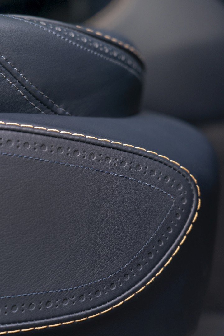 Aston Martin Dbx photo 259