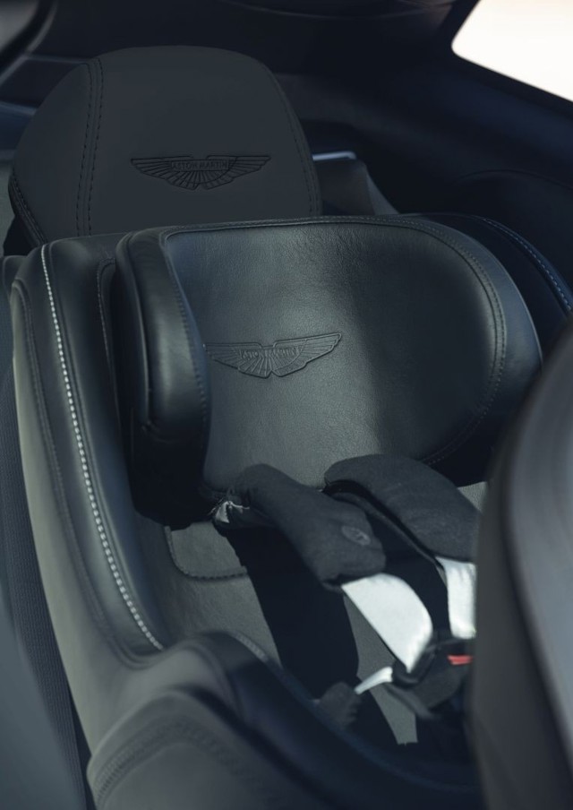 Aston Martin Dbx photo 191