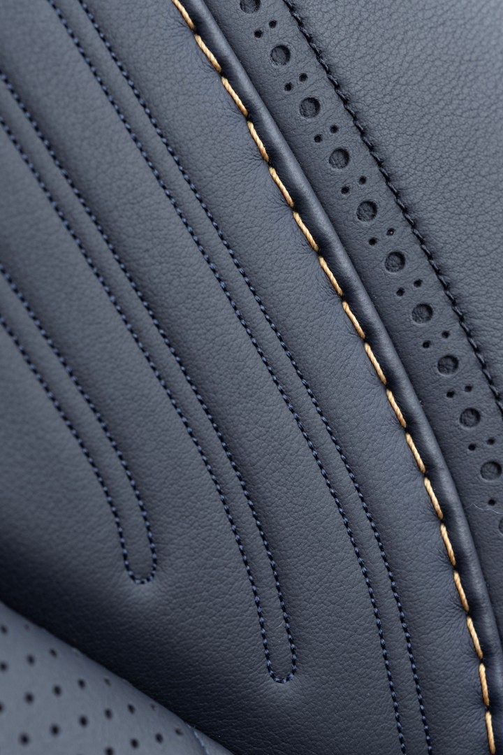 Aston Martin Dbx photo 284