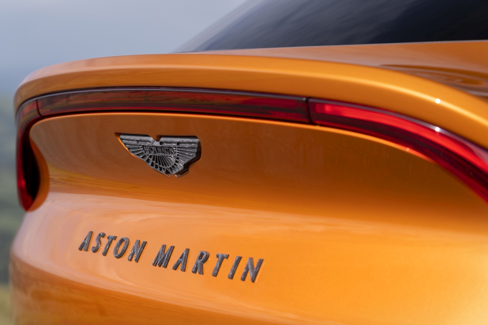 Aston Martin Dbx photo 39