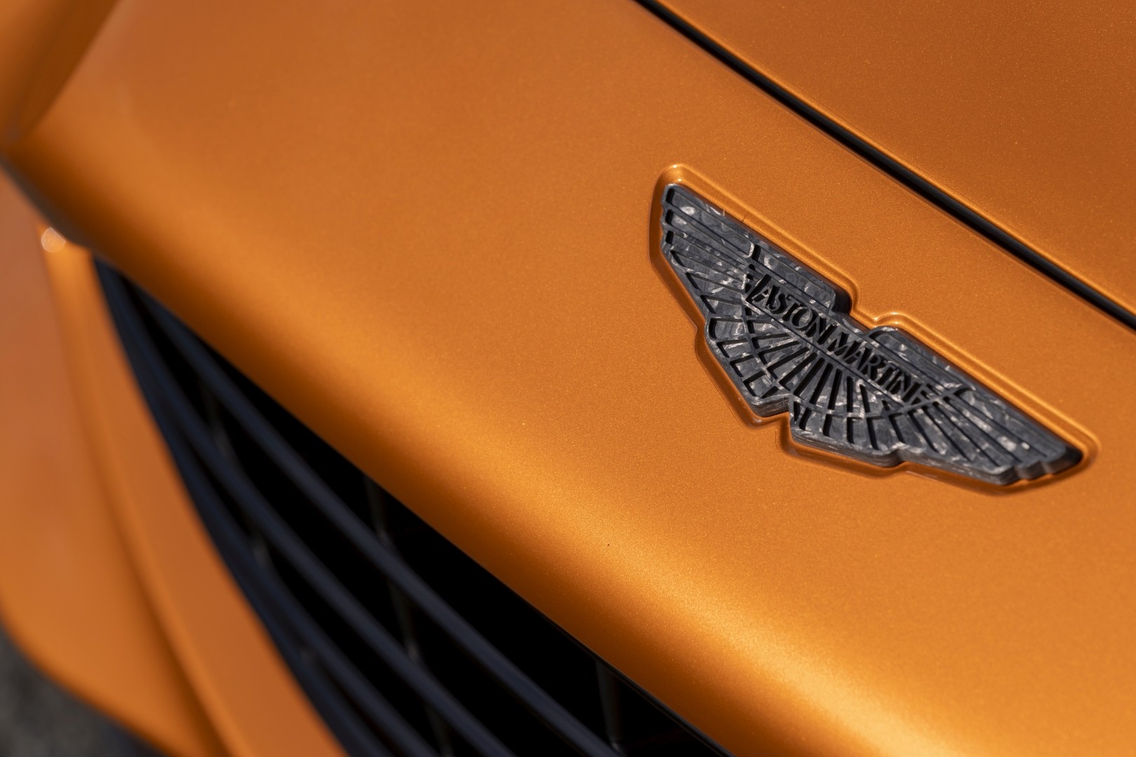 Aston Martin Dbx photo 42