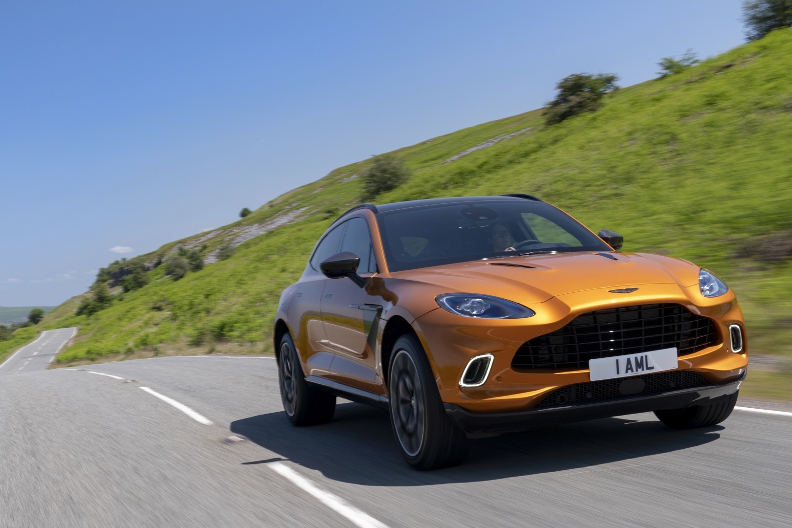 Aston Martin Dbx photo 51