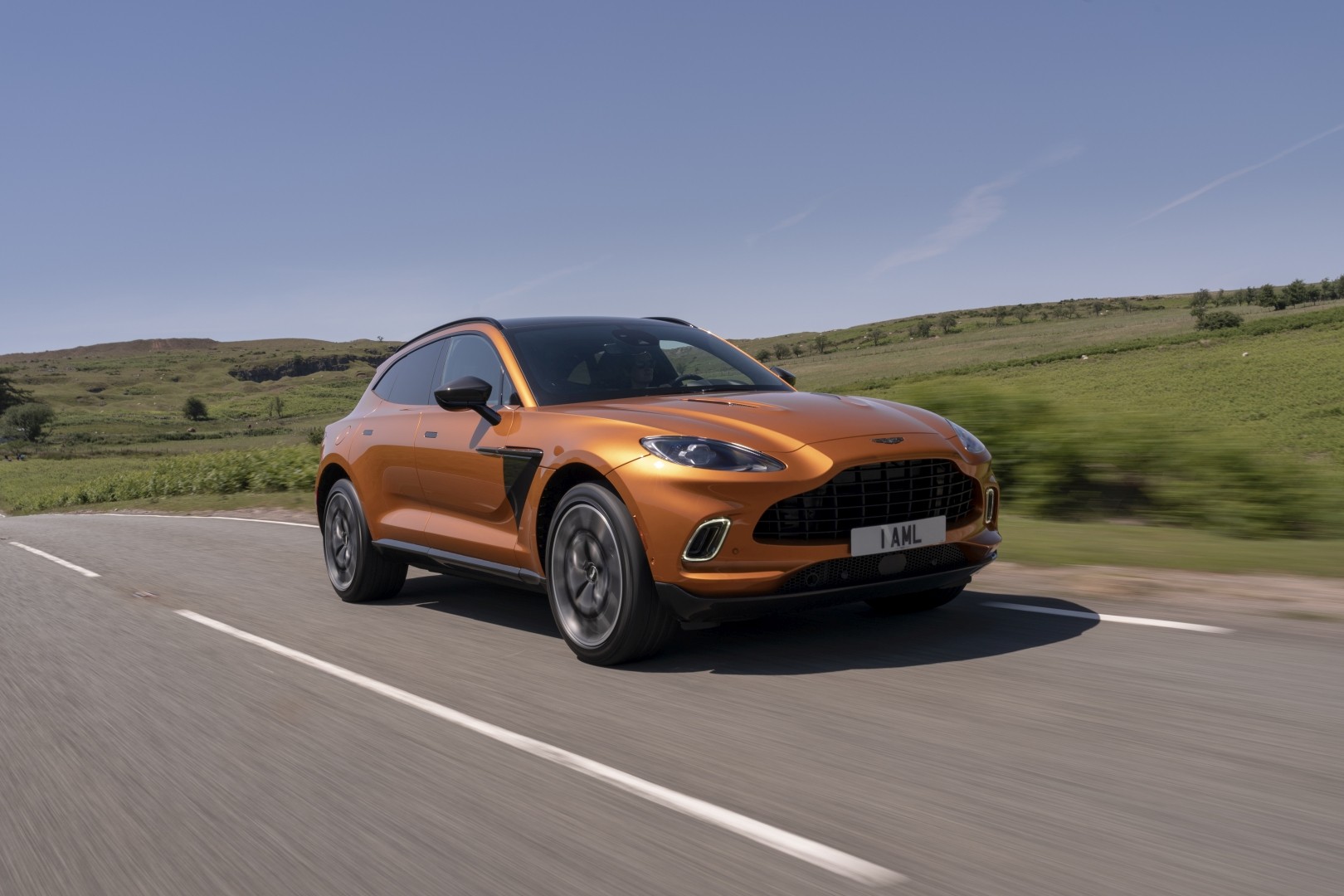 Aston Martin Dbx photo 54