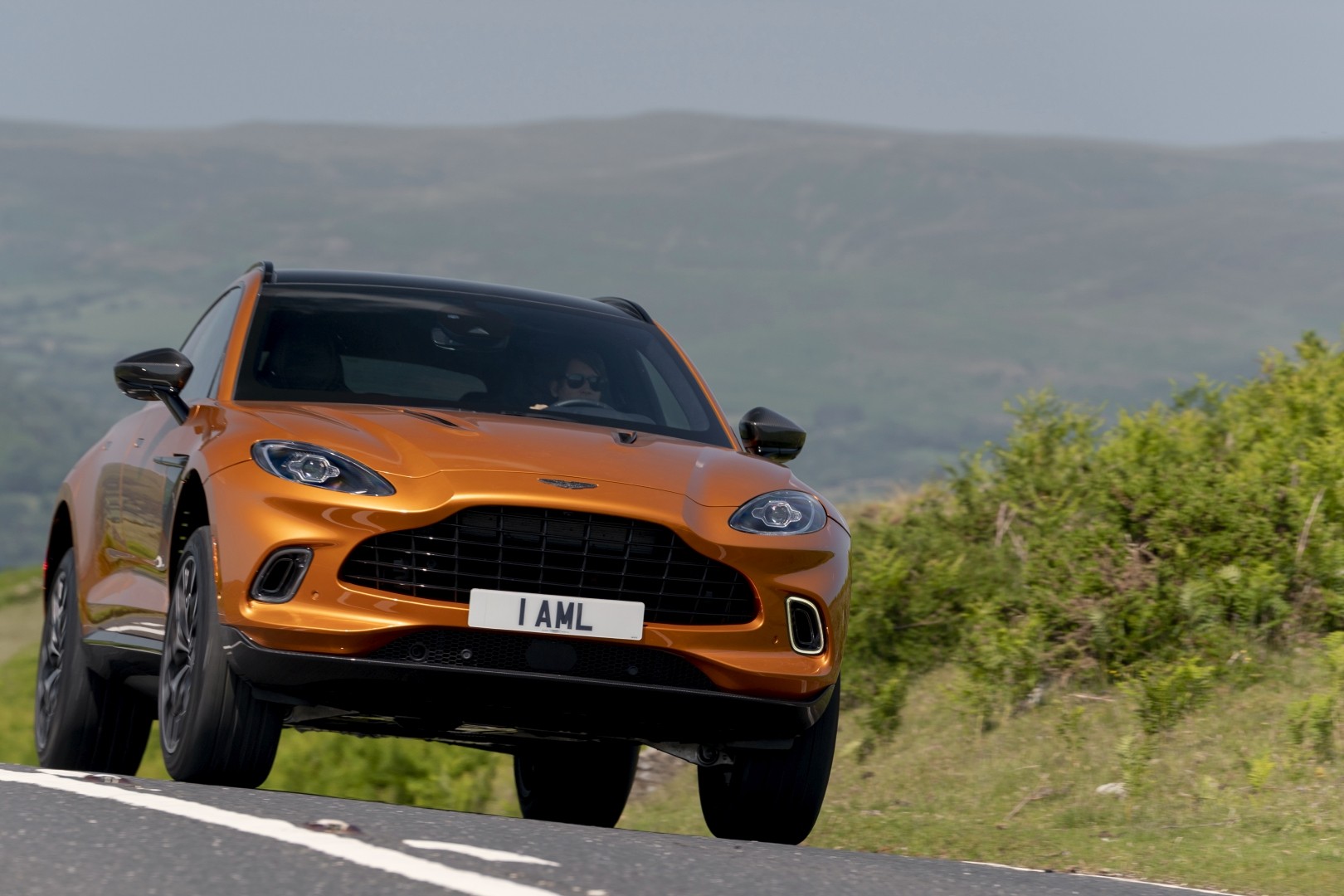 Aston Martin Dbx photo 57