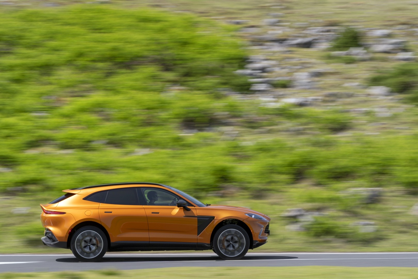 Aston Martin Dbx photo 58
