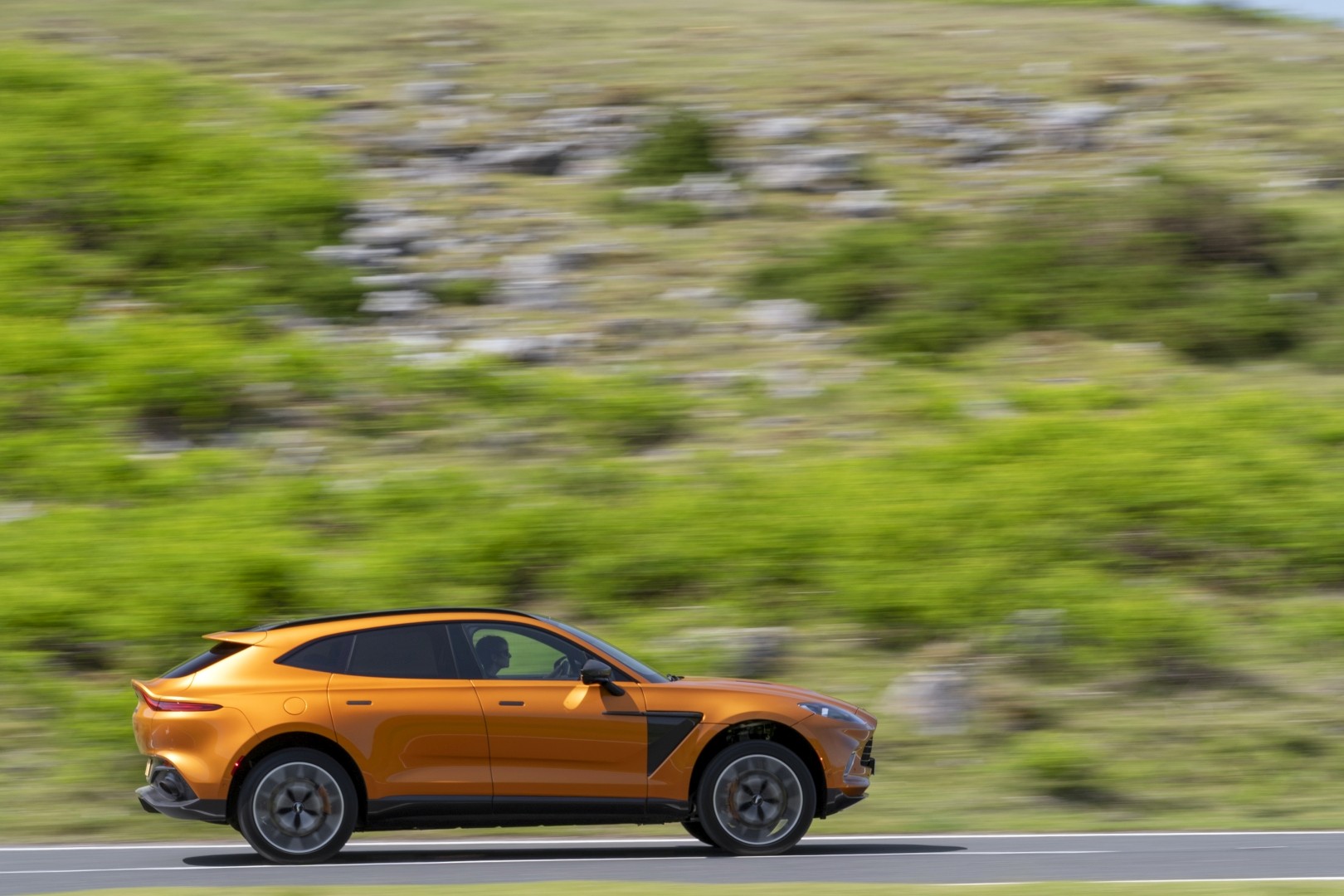 Aston Martin Dbx photo 59