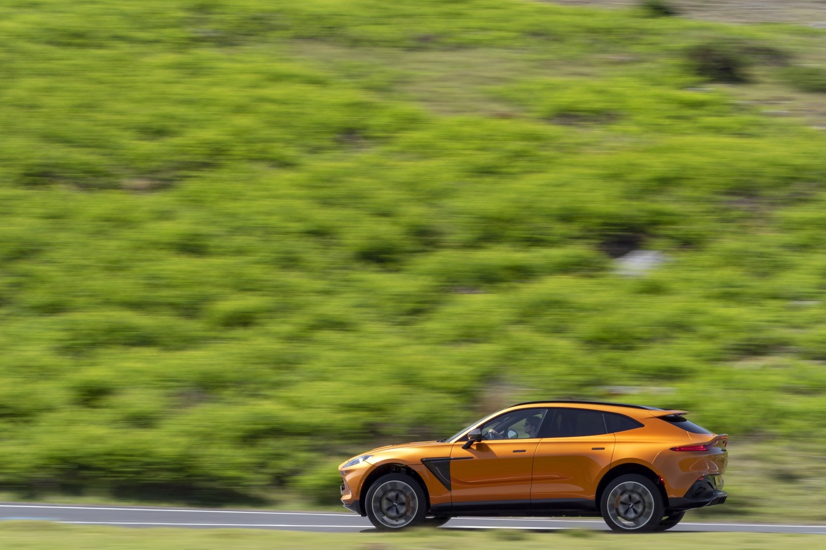 Aston Martin Dbx photo 60