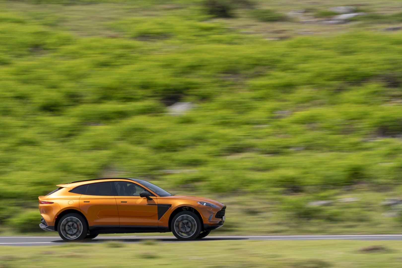 Aston Martin Dbx photo 61