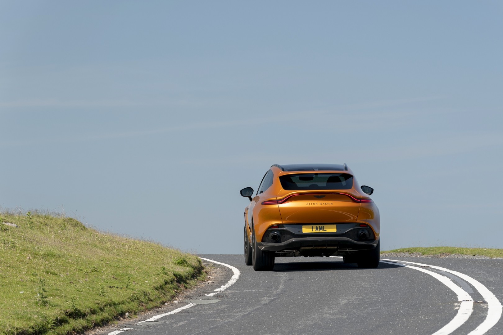 Aston Martin Dbx photo 64