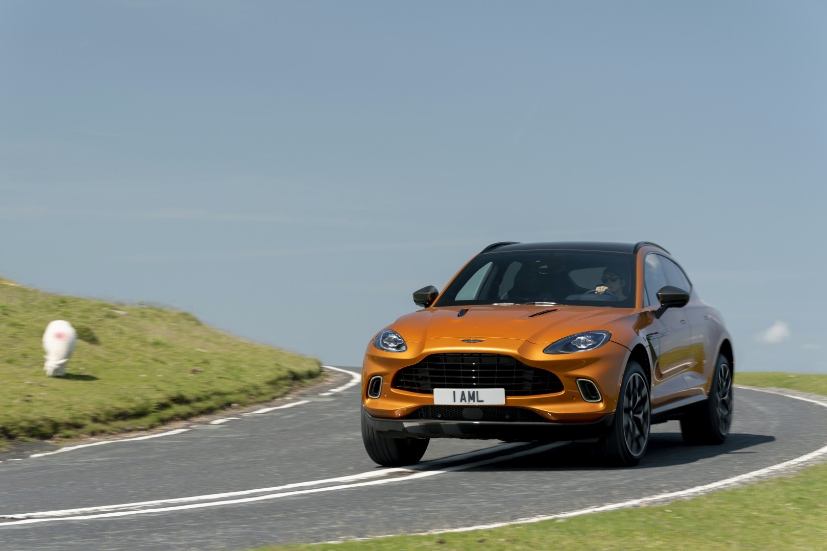 Aston Martin Dbx photo 67