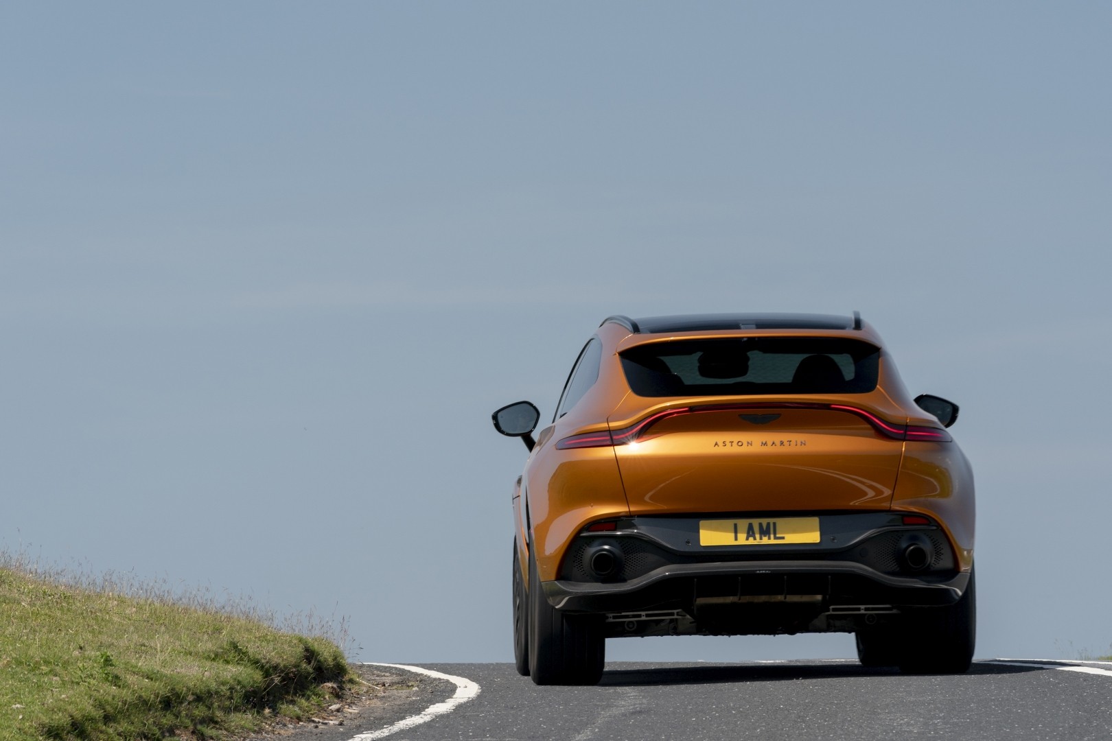 Aston Martin Dbx photo 68