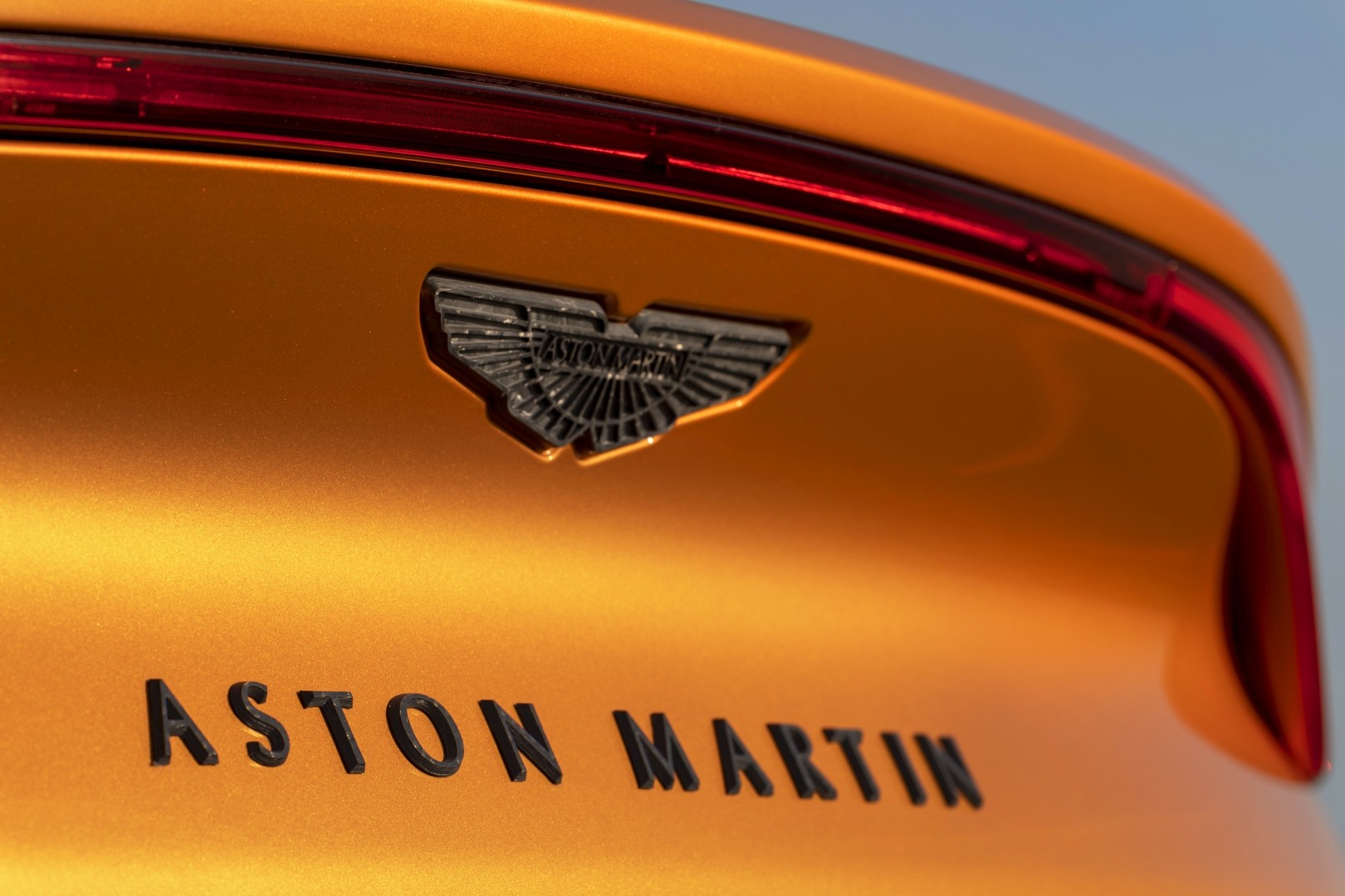 Aston Martin Dbx photo 79