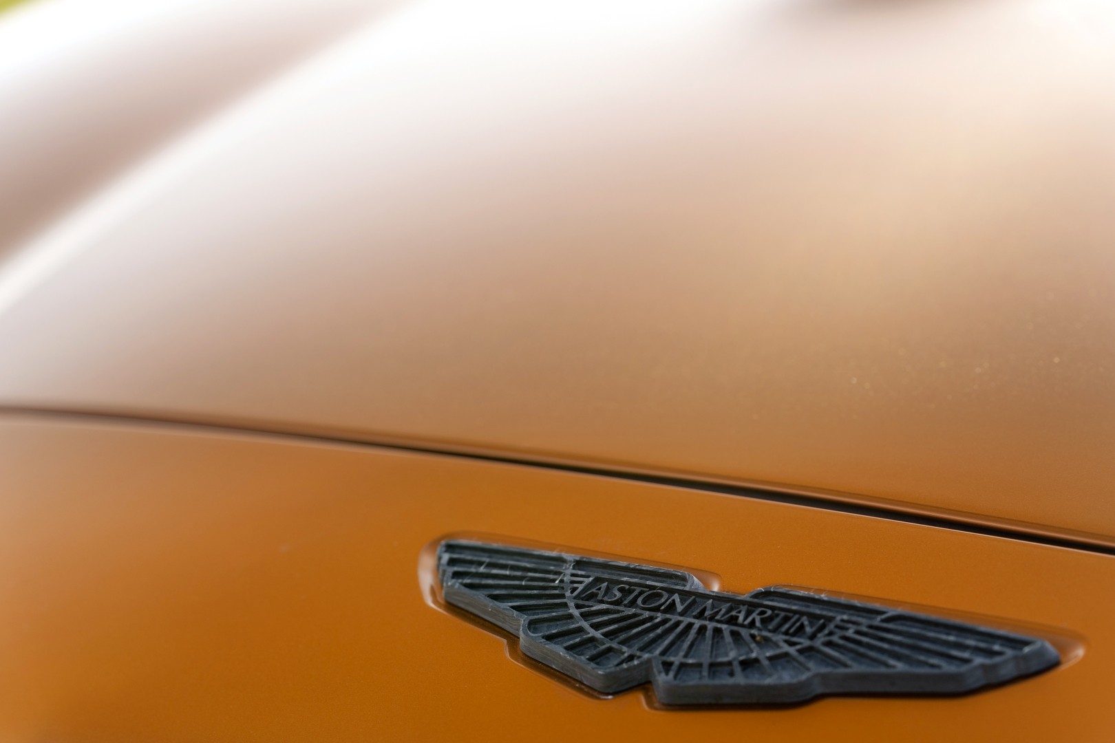 Aston Martin Dbx photo 83