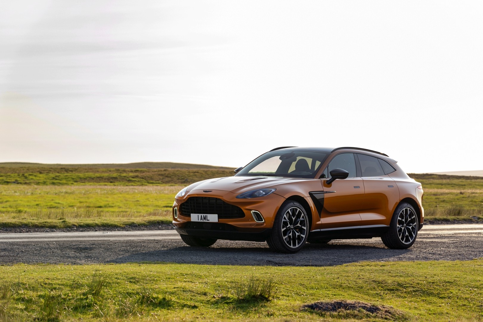 Aston Martin Dbx photo 85