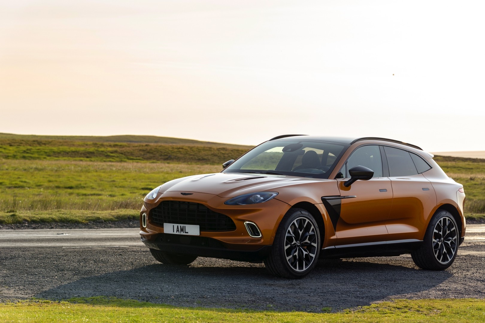 Aston Martin Dbx photo 86