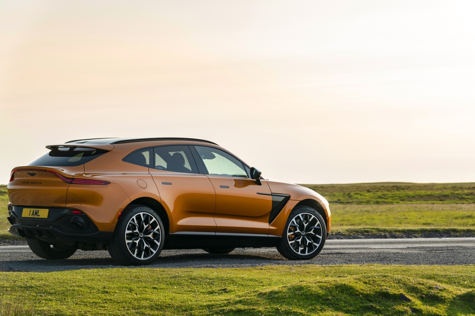 Aston Martin Dbx photo 87