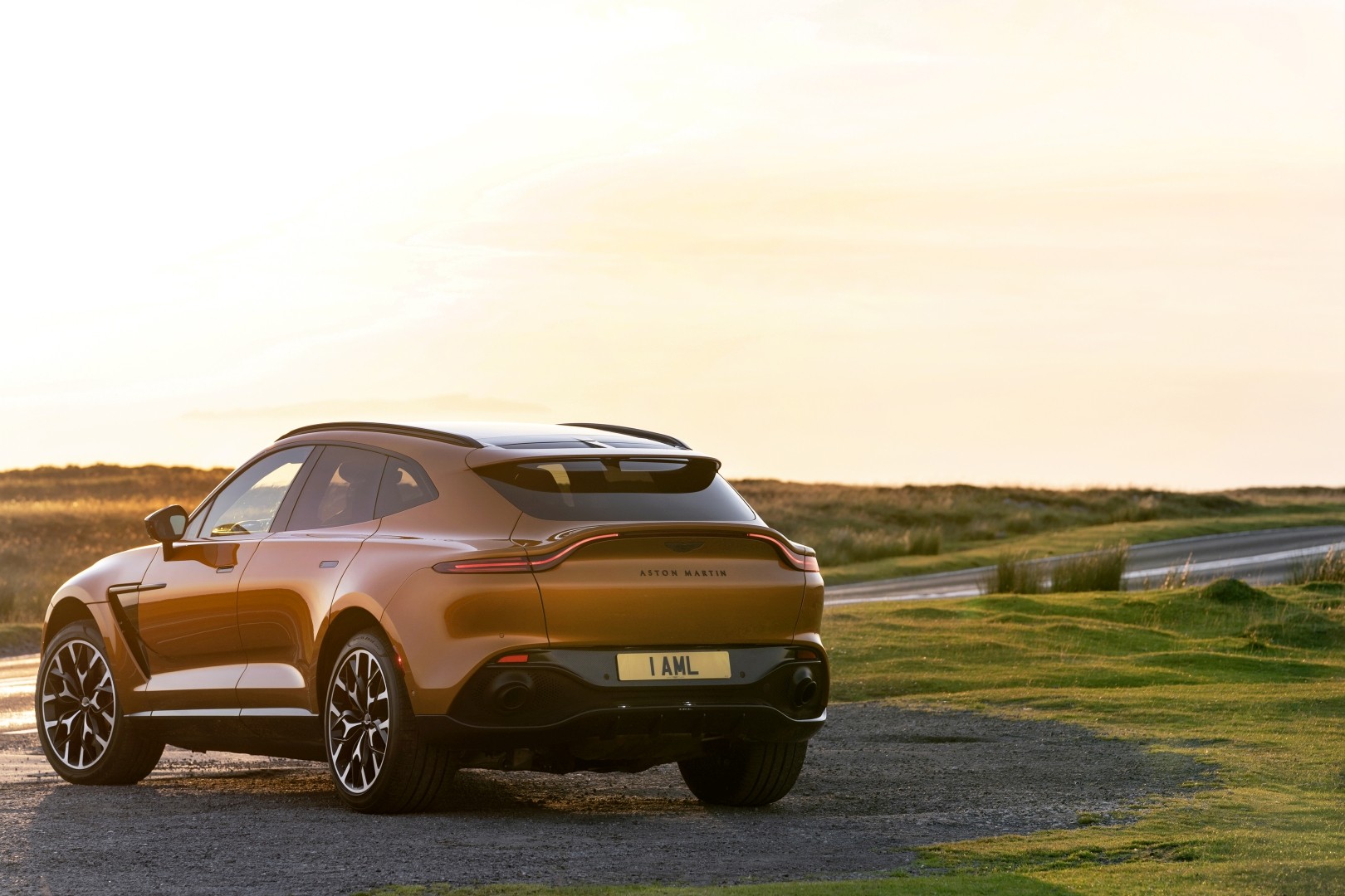 Aston Martin Dbx photo 90