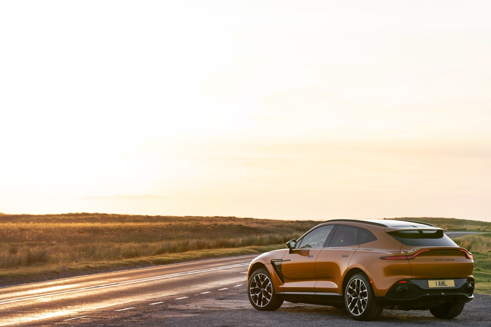 Aston Martin Dbx photo 91