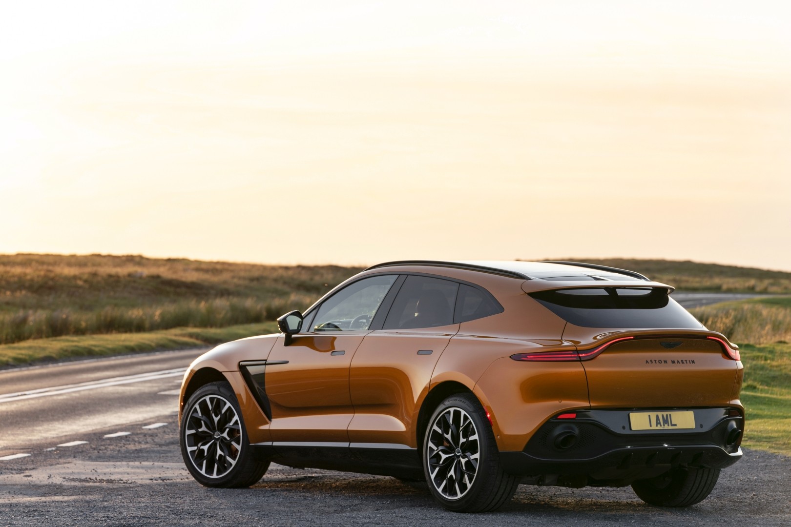 Aston Martin Dbx photo 92