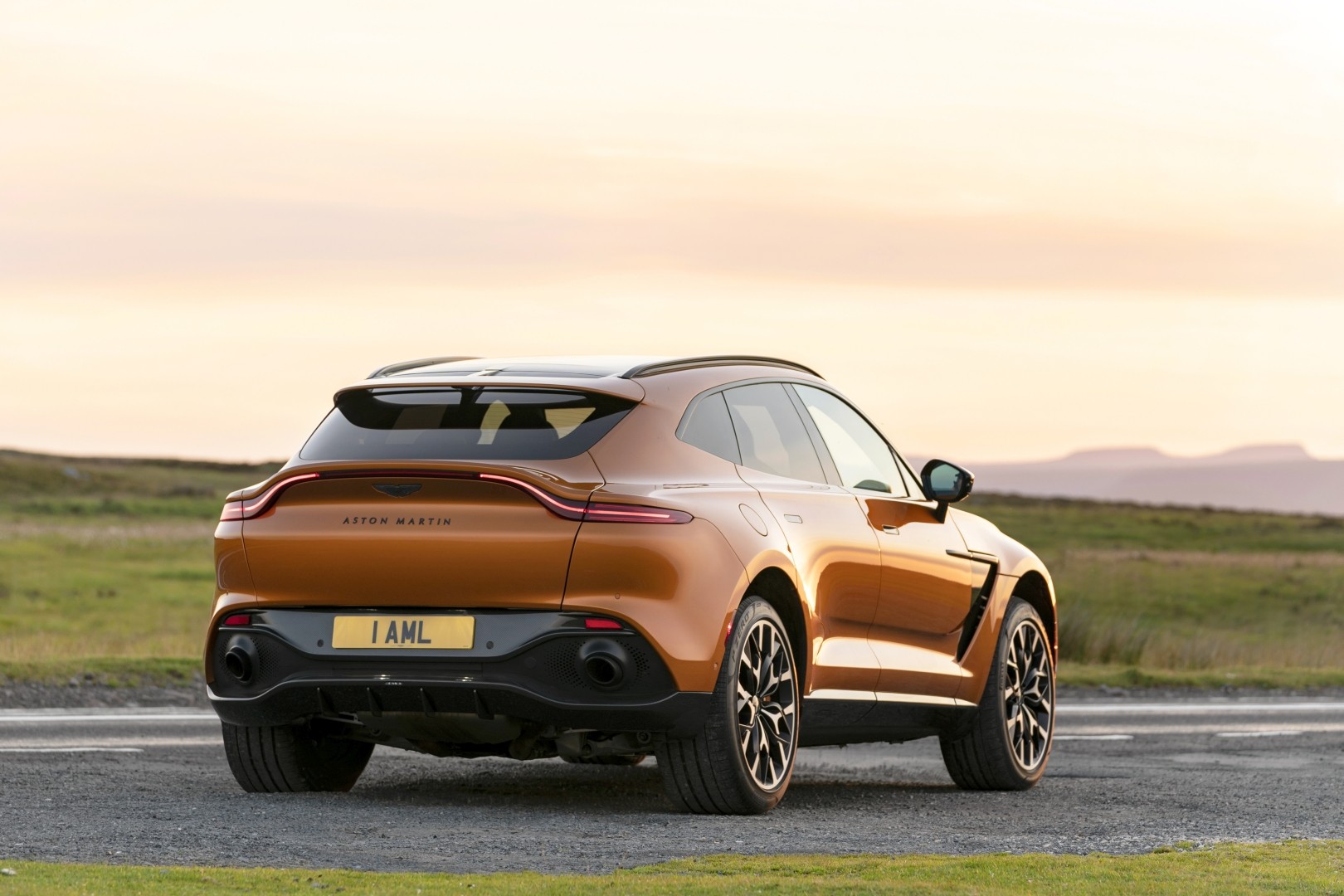 Aston Martin Dbx photo 99