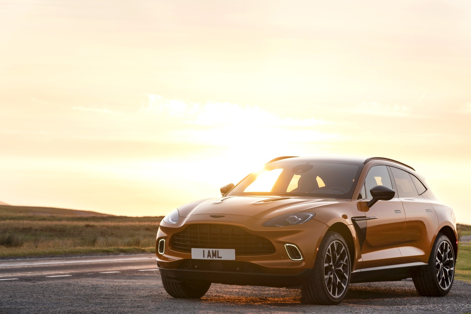 Aston Martin Dbx photo 100