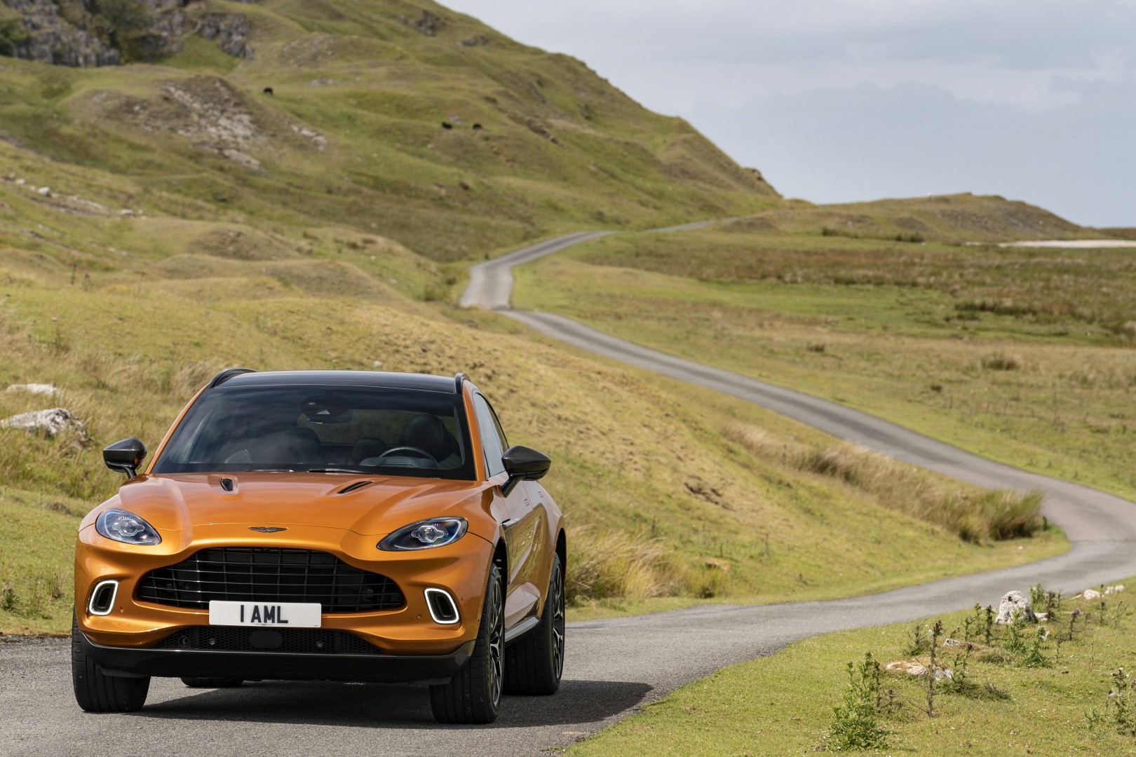 Aston Martin Dbx photo 104