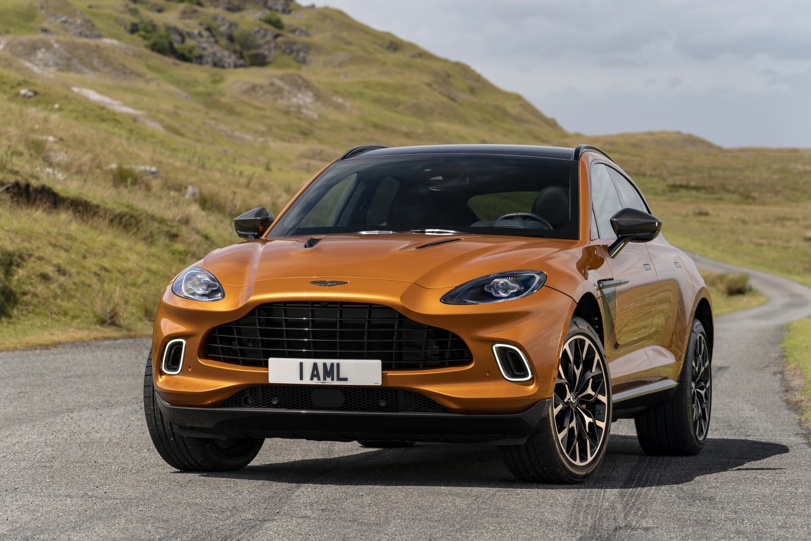 Aston Martin Dbx photo 113