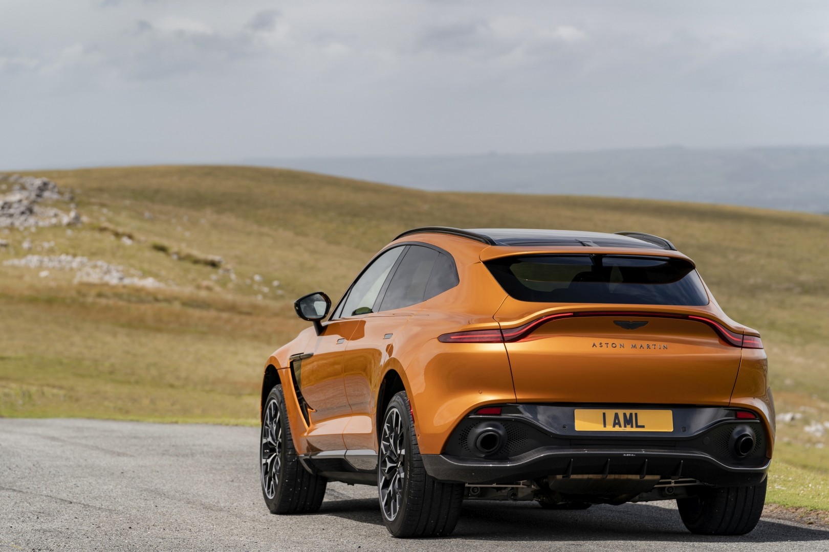 Aston Martin Dbx photo 115
